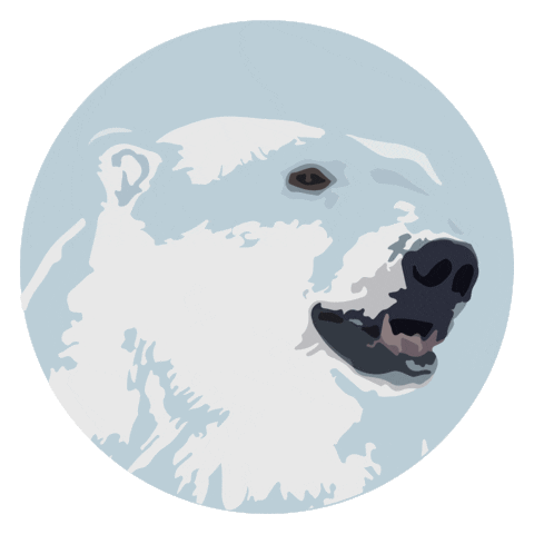 Midia Sticker by Polar