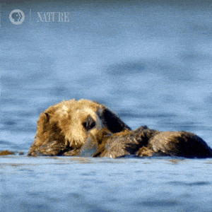 Praise GIF