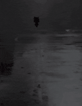 Special Week Walking GIF