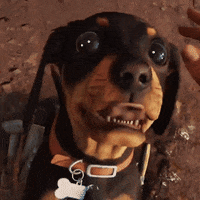 Best Boy Dog GIF by Far Cry 6