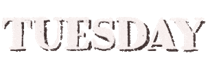 Day Tag Sticker