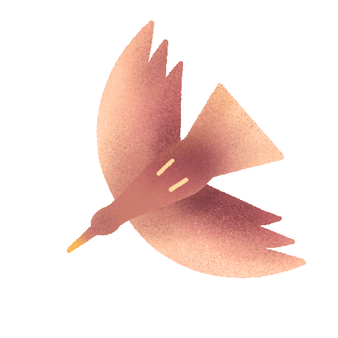 Festival Teresina Sticker by festivalgirasol