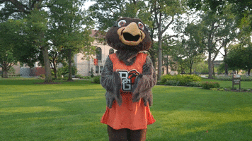 Lets Go Yes GIF by Bowling Green State University