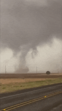 The-texas-tornado GIFs - Find & Share on GIPHY