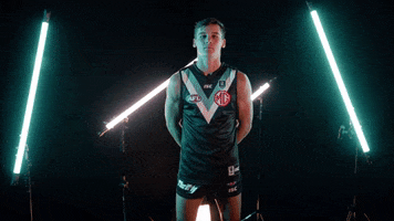 Not Out Cricket GIF by Port Adelaide FC