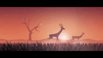 Studio Antelope GIF