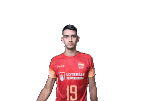 Volleyball Emilio Ferrandez Sticker by RedLynxes