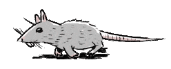 Mouse Sticker