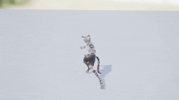 Cat Animation GIF by Astral Clocktower Studios
