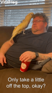 Cockatoo Entertains His Humans