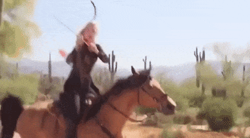 The Ride Archery GIF by Horse&Rider Magazine