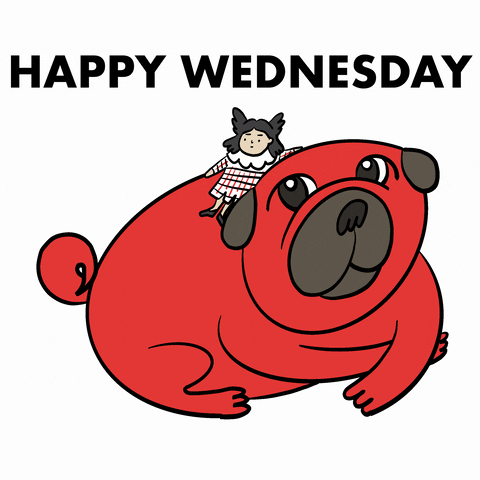 Digital art gif. A giant red pug is laying calmly while a little girl uses it as a slide, sliding down from the nape of its neck to the floor below. Text, "Happy Wednesday."
