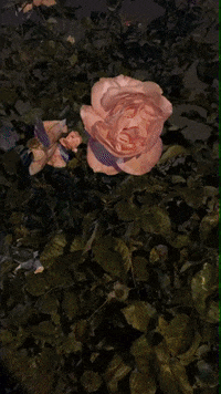 images Janos Slynt Gif janos slynt gifs get the best gif on