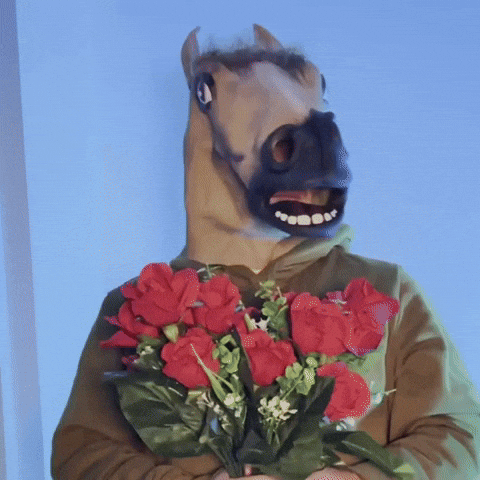 Horse What GIF by Luke Westen