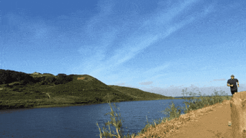 Trail Running GIF