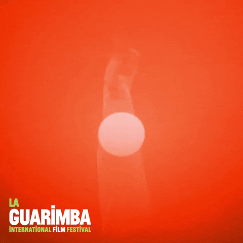 Happy Dance GIF by La Guarimba Film Festival