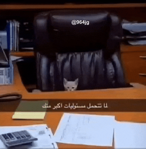 العراق‎ GIF