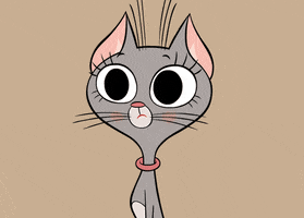 Angry Cat GIF by ZIP ZIP