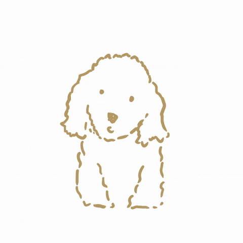 What GIF