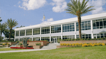 Tampa Bay College GIF by The University of Tampa
