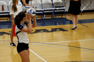 Finlandia University GIF