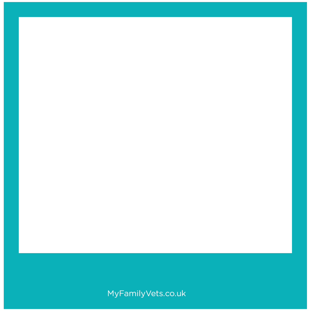 MyFamilyVets Sticker