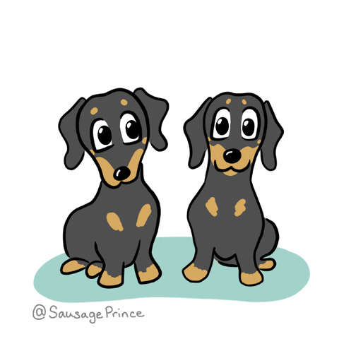 Dog Gif Find Share On Giphy