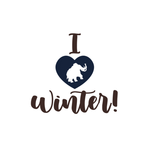 Oficina de Inverno Sticker