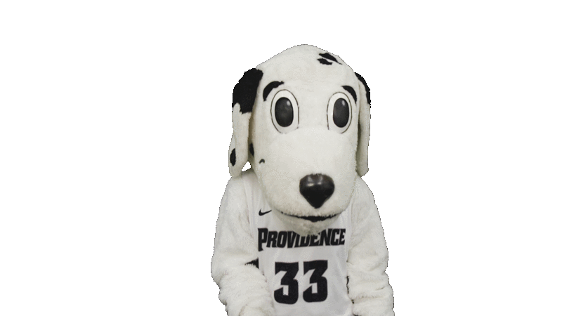 Providence College Friars Sticker Vinyl Decal Laptop Water