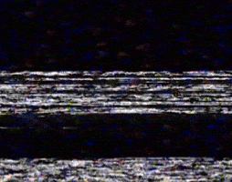 Jeeter GIF by dreamfields