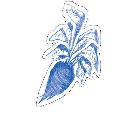 Fehmarn Sticker by fehmarndestillerie