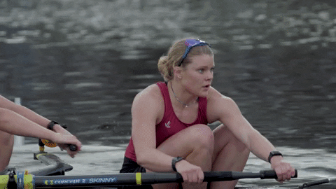 Rowing GIF by Colgate Athletics - Find & Share on GIPHY