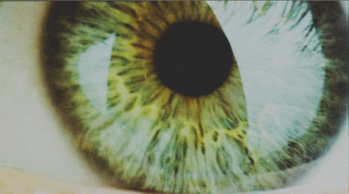Green Eyes GIFs - Get the best GIF on GIPHY