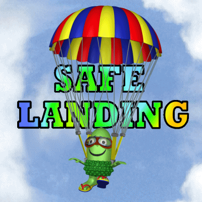 Skydive Landing GIF