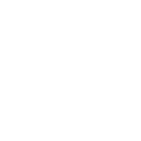 Groenmarkt Sticker by Zomerfeest Gorinchem