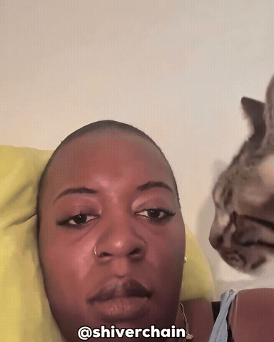 Cat Unsettling GIF