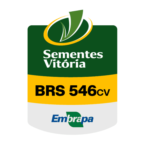 Sementes Vitória Sticker