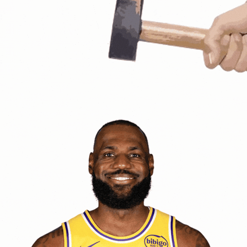 Lebron James Basketball GIF