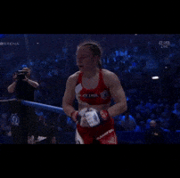 Ufc Mma GIF by Sani Brännfors