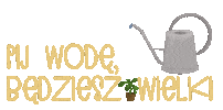 Rosliny Konewka Sticker
