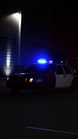 Ford GIF