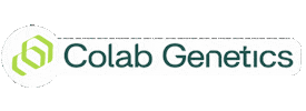 Genetica Sticker by Procriare