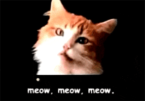 meow mix GIF