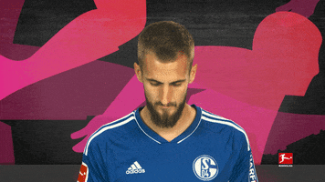 Schalke S04 GIF by Bundesliga