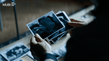 Andrey Zvyagintsev Film GIF by MUBI