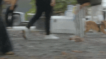 Happy Dog GIF by Sugarshack