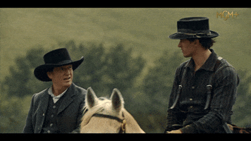 Tom Horses GIF by Billy The Kid