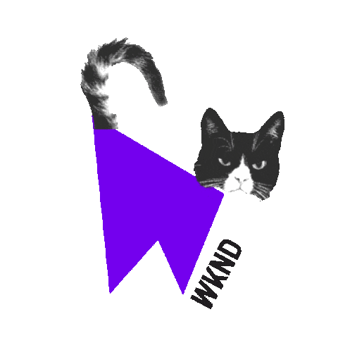 Cat Wknd Sticker by The Weekend