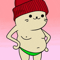 Happy Fun GIF by Sappy Seals Community