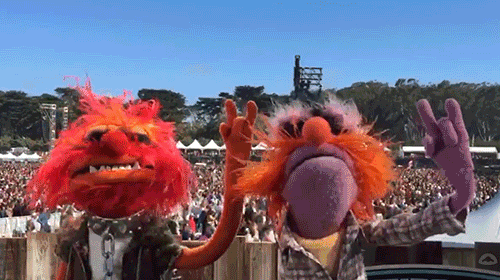Muppet Wiki animal drummer muppets headbang GIF